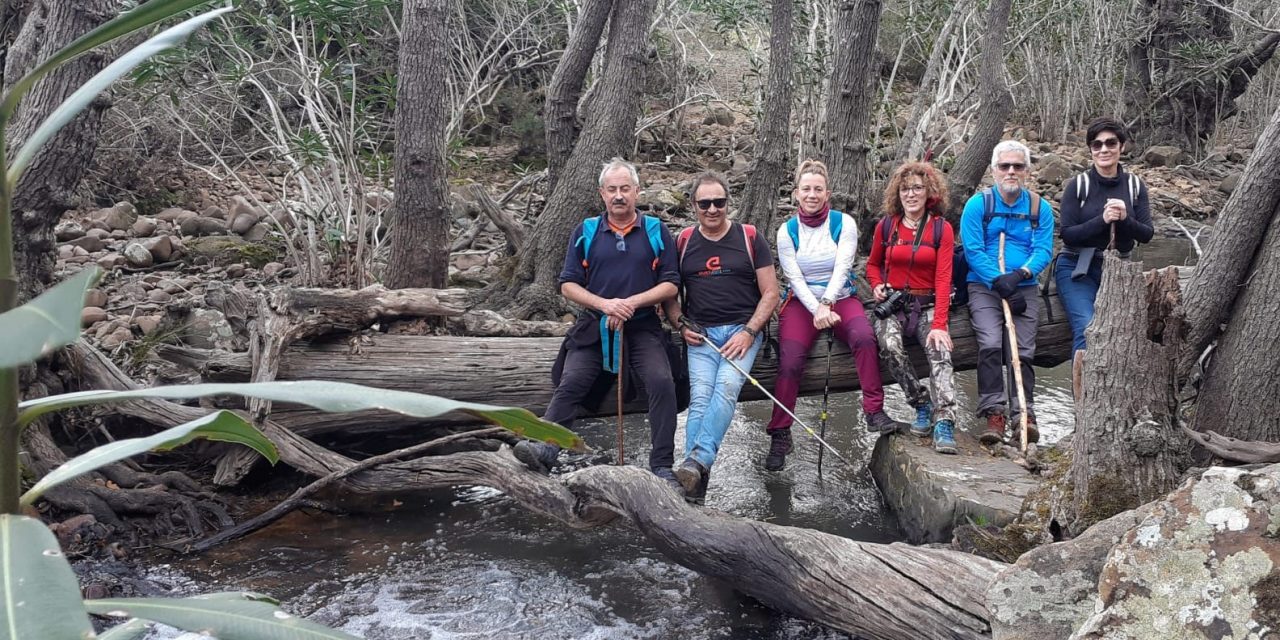 Las mariposas monarca y la cascada sin nombre.