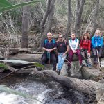 Las mariposas monarca y la cascada sin nombre.