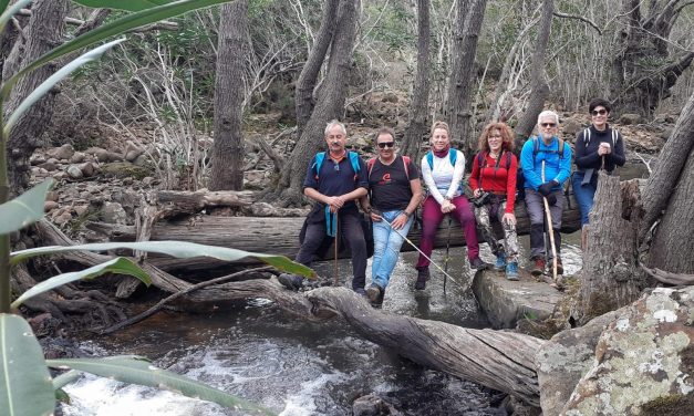 Las mariposas monarca y la cascada sin nombre.