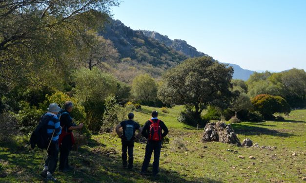 El valle del Tavizna.