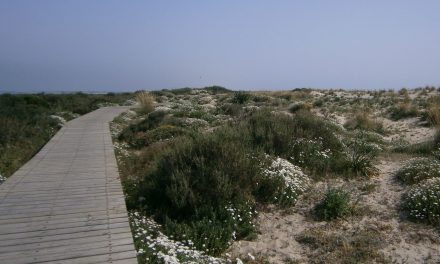 Travesía por el litoral gaditano (I). Camposoto, la punta del boquerón y la batería de Urrutia.