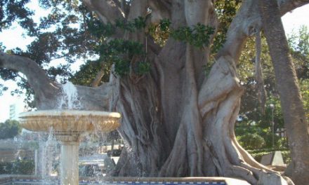 La Alameda Apodaca: el jardín de Cádiz que cuelga al mar.