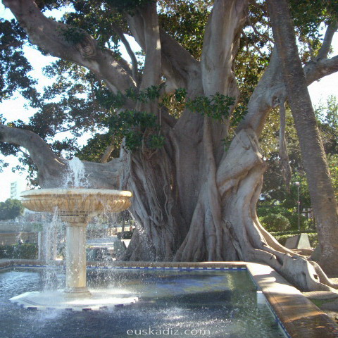 La Alameda Apodaca: el jardín de Cádiz que cuelga al mar.