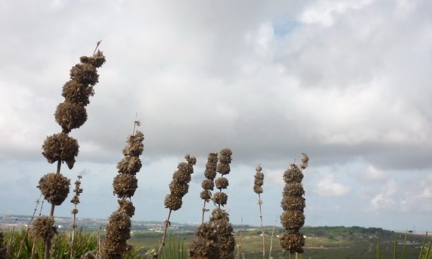 Las fotos de nuestra visita a El Puerto de Santa María: yacimiento fenicio de Doña Blanca y otras sorpresas