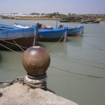 Proyección del documental Costas del Sur: la almadraba gaditana