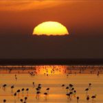 Una inmersión en el Parque Nacional de Doñana