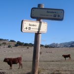 Una excursión a la Sierra: los Llanos del Republicano.