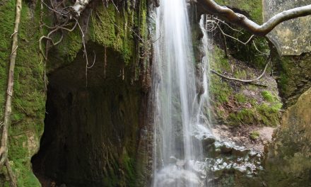 El Molino del Susto. Benamahoma.