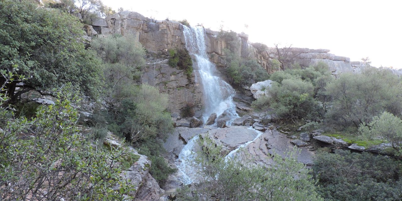 No hay más agua que la que llueve. Paisajes gaditanos del agua.