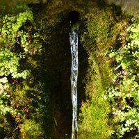10 paisajes del agua en la sierra gaditana.