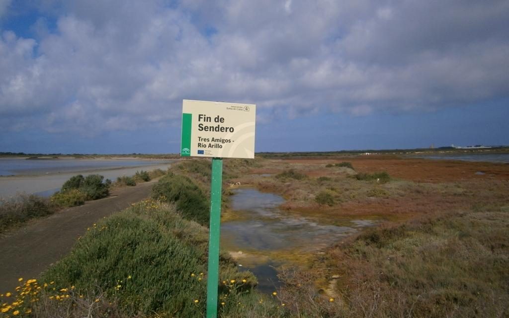 Una inmersión en el Parque Natural de la Bahía de Cádiz: el río Arillo