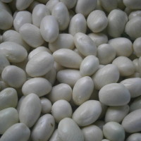 Pochas a la navarra.