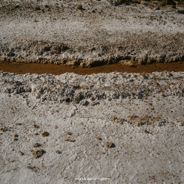 Las salinas romanas de Iptuci nunca necesitaron el mar