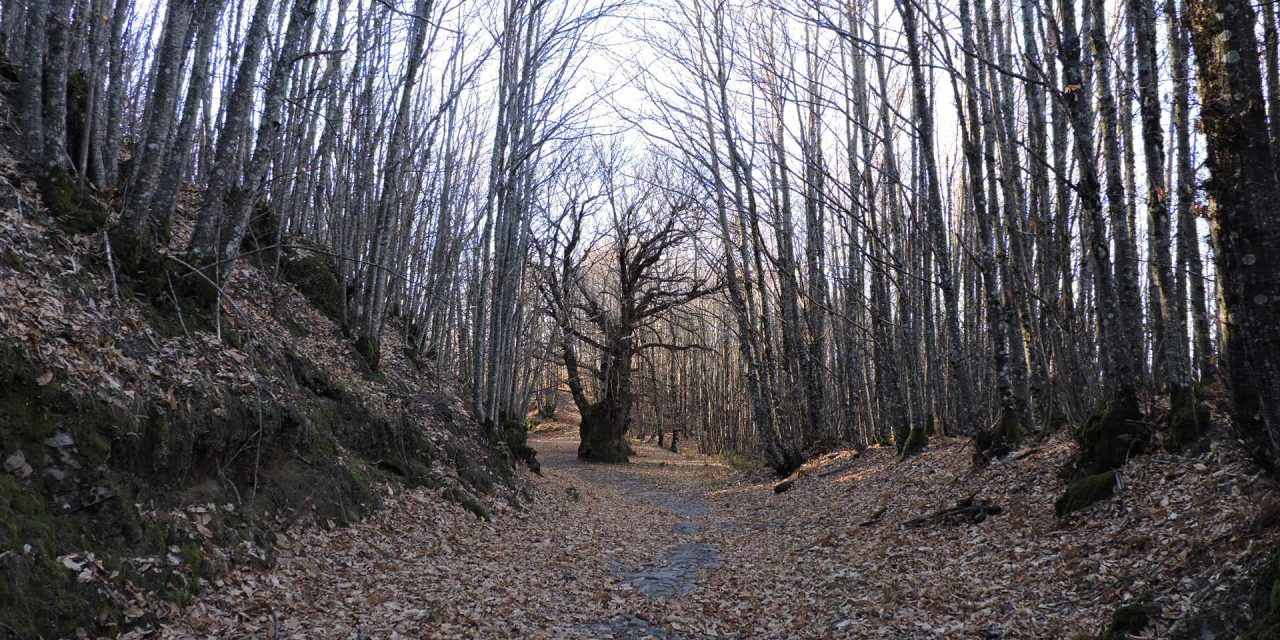 A Fala, Donosti y la Sierra de Gata.