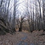 A Fala, Donosti y la Sierra de Gata.