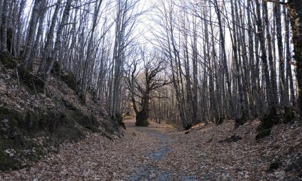 A Fala, Donosti y la Sierra de Gata.