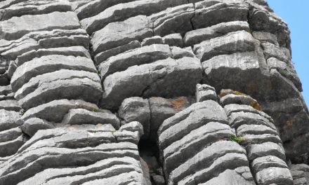 El Torcal de Cancha Bermeja. Sierra de Grazalema.