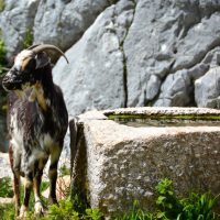 Una travesía mágica por la Sierra de Grazalema (I).