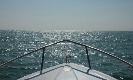 Una jornada náutica. Cádiz desde el mar