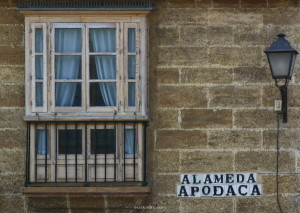 alameda-apodaca-euskadiz