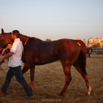 carreras-sanlucar-euskadiz