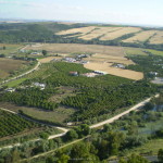 arcos-de-la-frontera-euskadiz