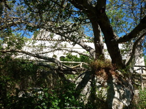 santa-lucia-vejer-euskadiz