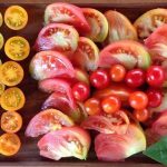 ¡Aquí hay tomate! Del «tomate del país» al «tomate del terreno».