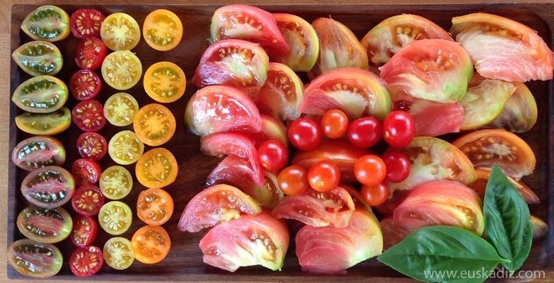 ¡Aquí hay tomate! Del «tomate del país» al «tomate del terreno».