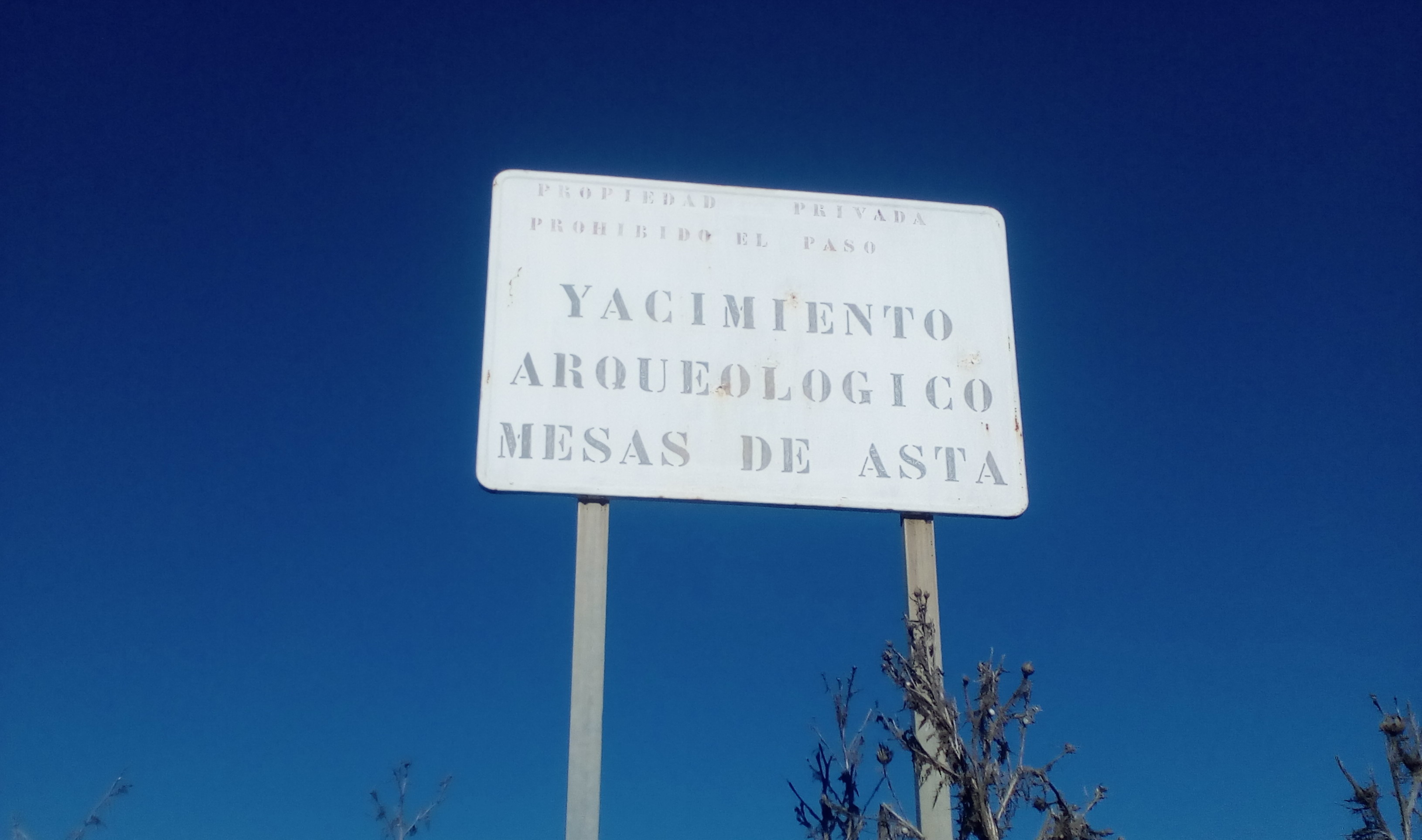 ajo-y-mosto-en-asta-regia1-euskádiz