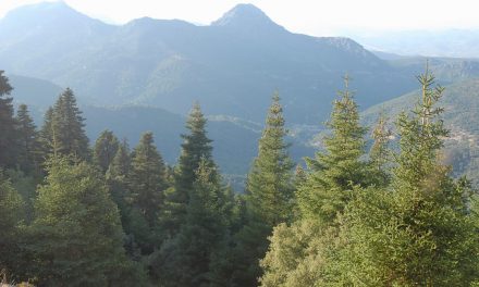 Senderismo por la Sierra de Grazalema