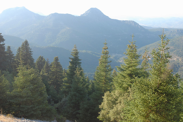 Senderismo por la Sierra de Grazalema