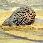 Un chapuzón en el Flysch de Tarifa.